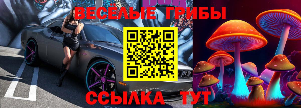 Галлюциногенные грибы MAGIC MUSHROOMS Моздок